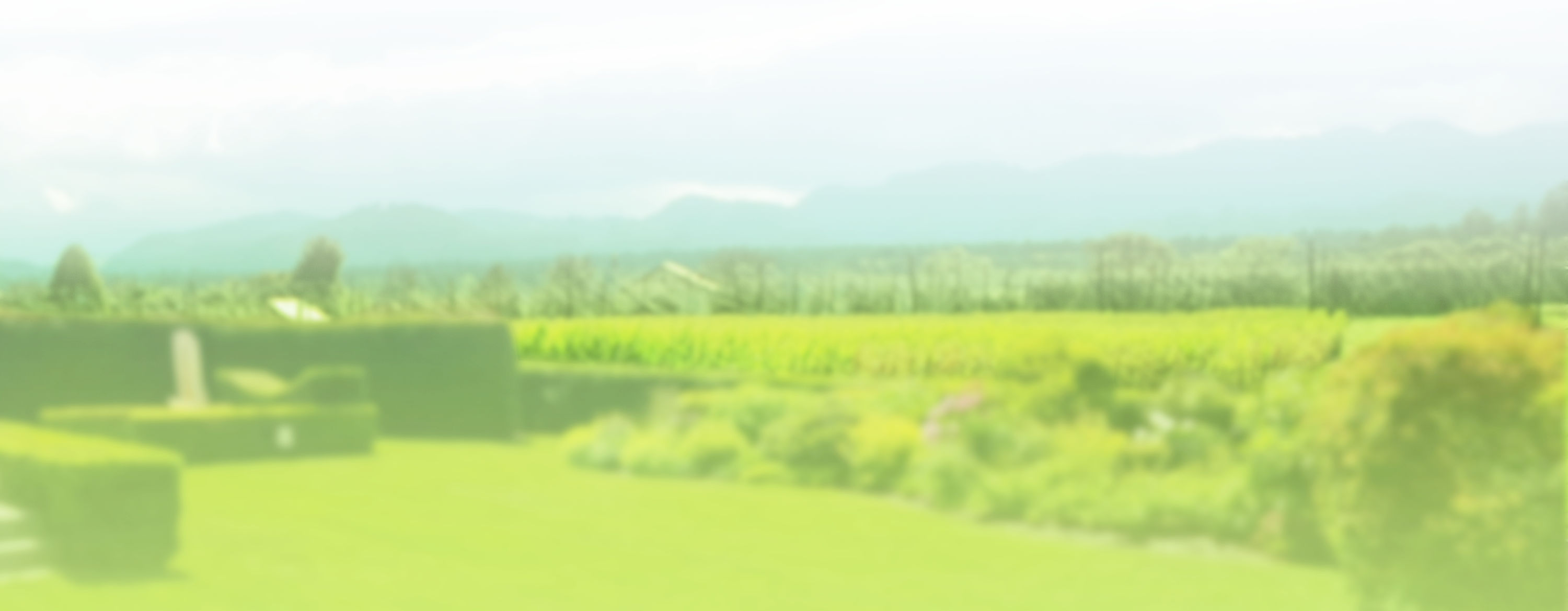 slider-gfx-orig